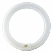 Люминесцентная лампа кольцевая Philips TL-E Circular 32W/33-640 T9 G10q, 305mm